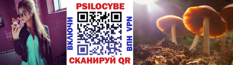Галлюциногенные грибы ЛСД  Катайск 
